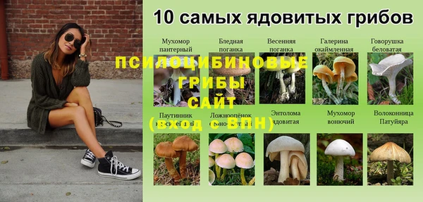 дмт Армянск
